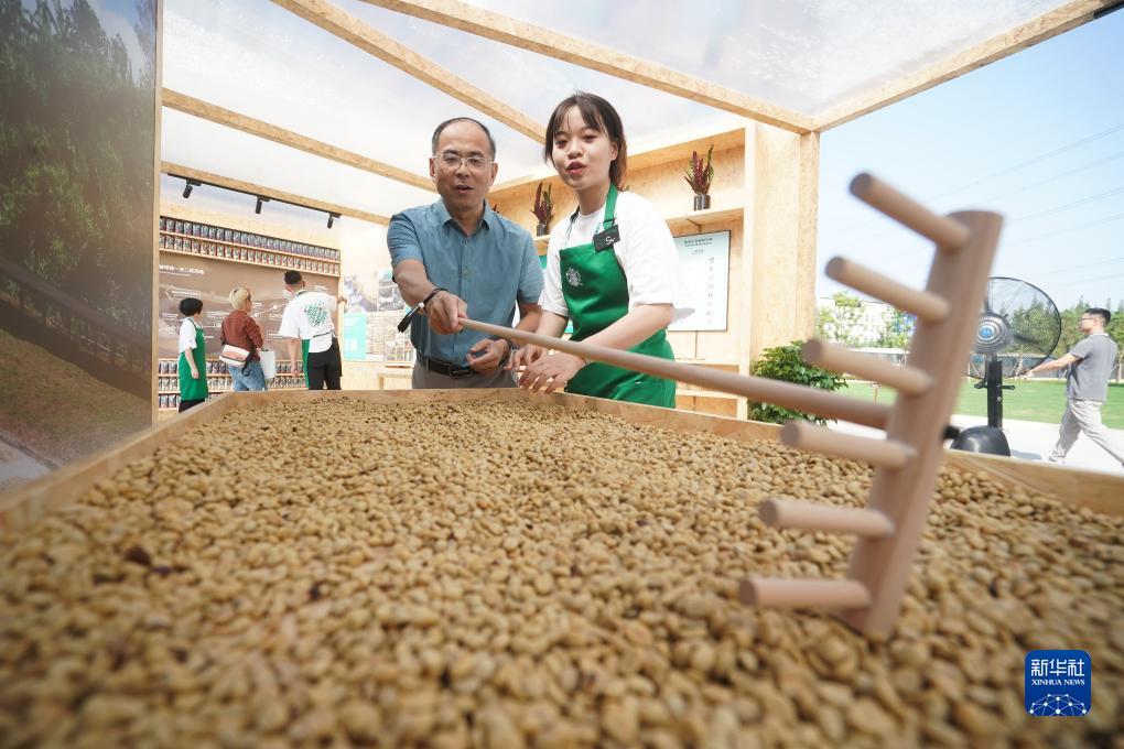 金牛娱乐怎么登不进去